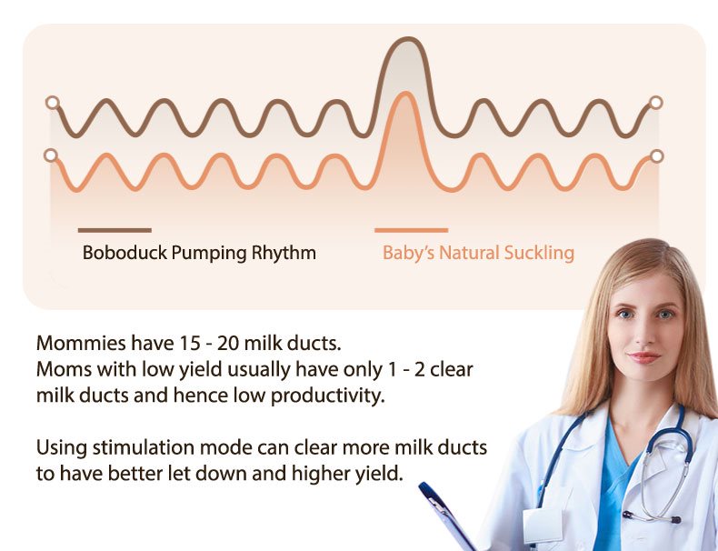 Pam Payudara Berganda Boboduck Doris