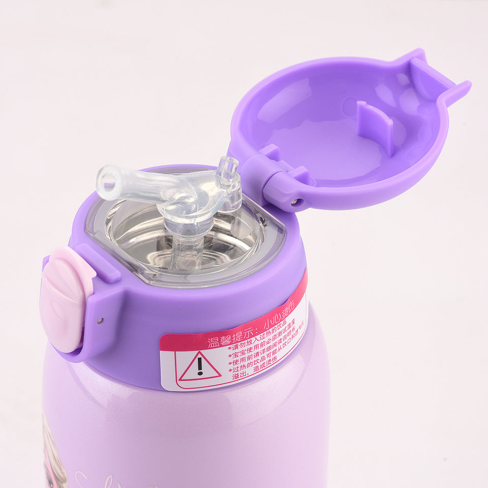 Frozen Thermal Bottle  With Straw 316 S