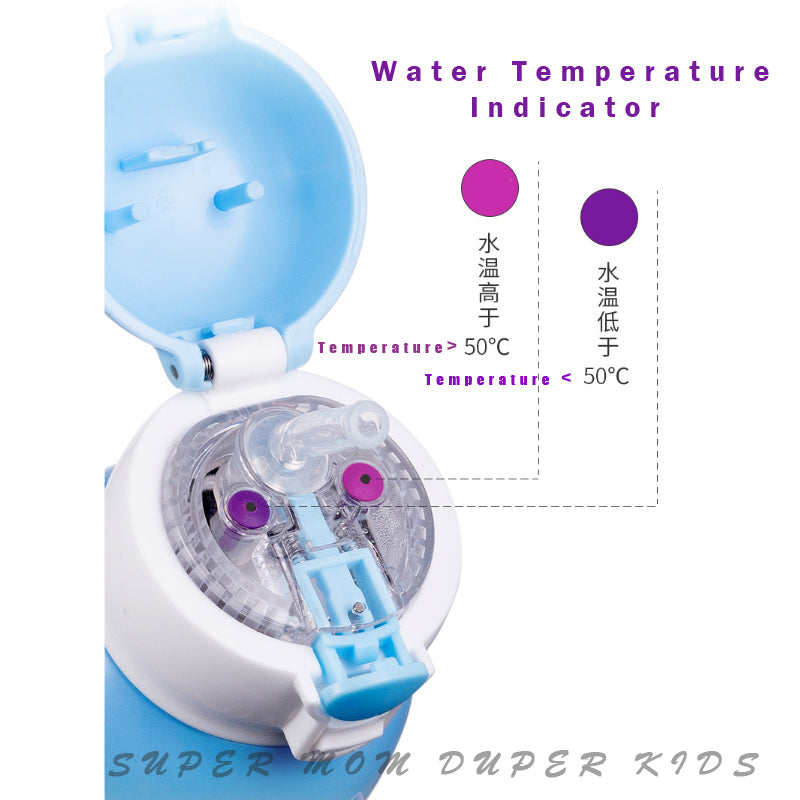 Disney Frozen 550ml Thermal Bottle With Straw (Stainless Steel 316)