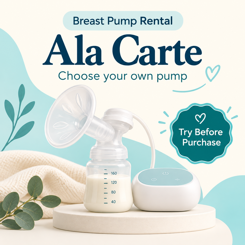 Breast Pump Rental Daily Rental【Try before Purchase】