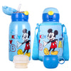 Disney Frozen 550ml Thermal Bottle With Straw (Stainless Steel 316)